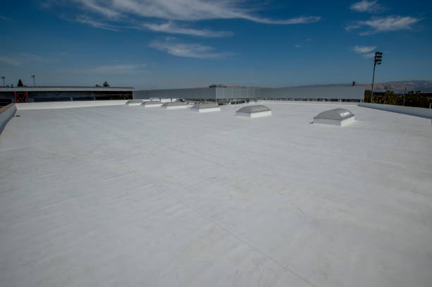 Best Solar Panel Roofing Installation  in Galls, IN