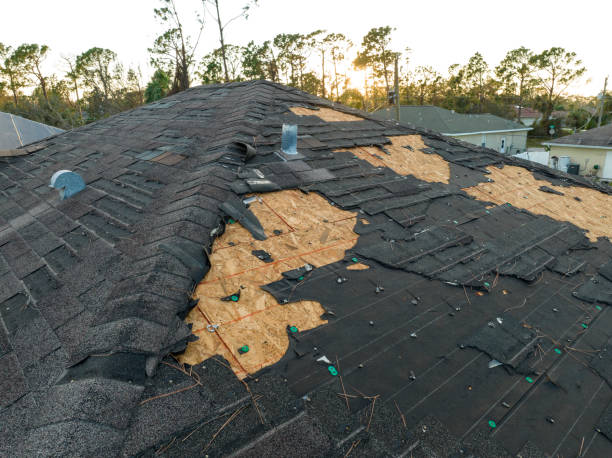 Best Asphalt Shingle Roofing  in Galls, IN