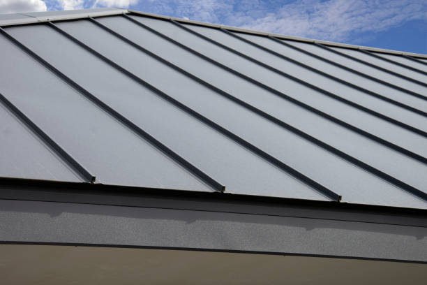 Best Roof Maintenance and Cleaning  in Galls, IN