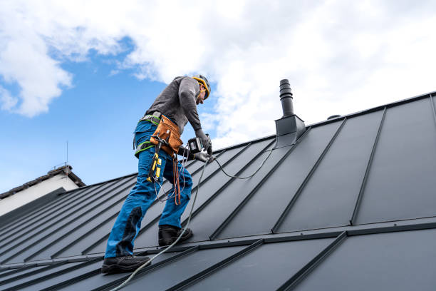 Best Solar Panel Roofing Installation  in Galls, IN