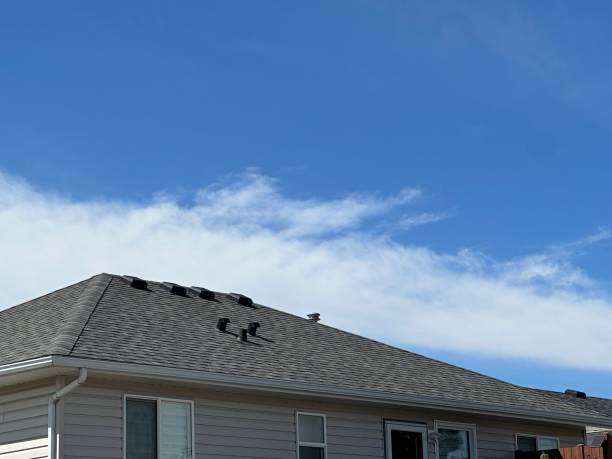 Best Rubber Roofing (EPDM, TPO)  in Galls, IN